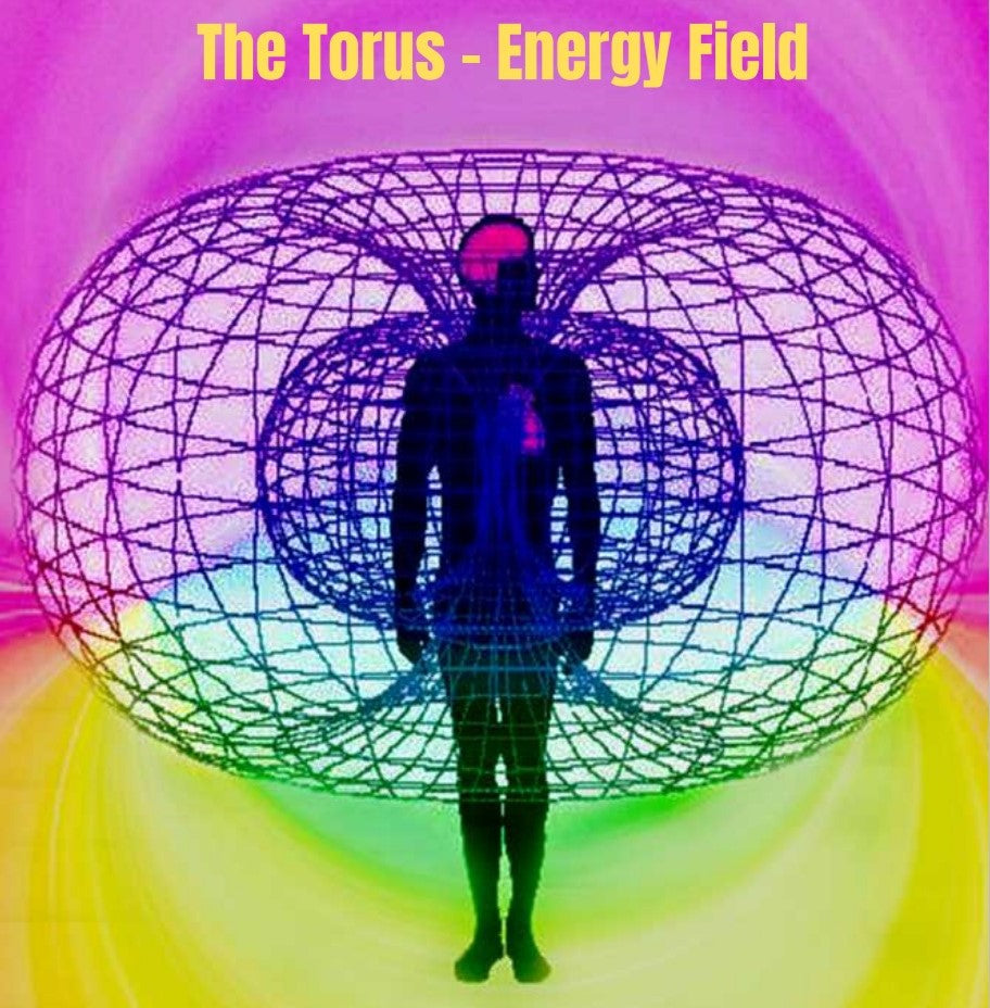 The Torus Energy Field
